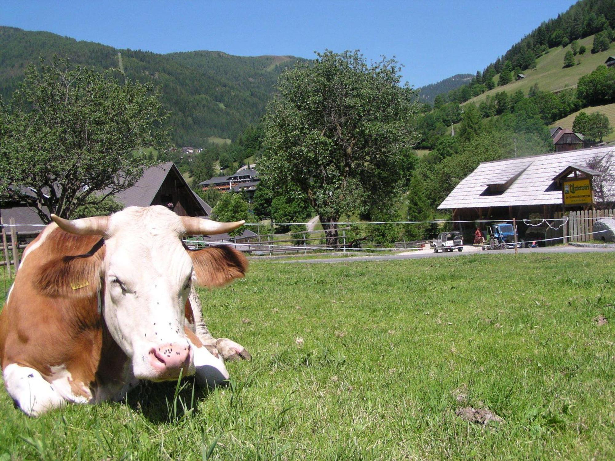 Ferienwohnung Unterwirt Bad Kleinkirchheim Exterior foto